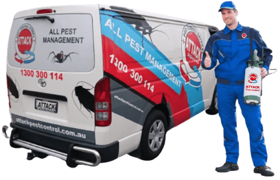 Pest Control Near Me from $140 - ATTACK PEST CONTROL SYDNEY